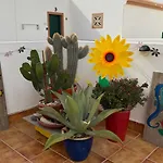 Appartement Casa Cuatro Soles *